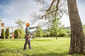  Benton Harbor, MI Tree Services Pros